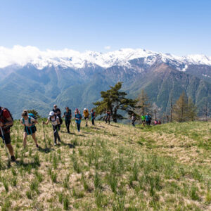 Escursione di gruppo