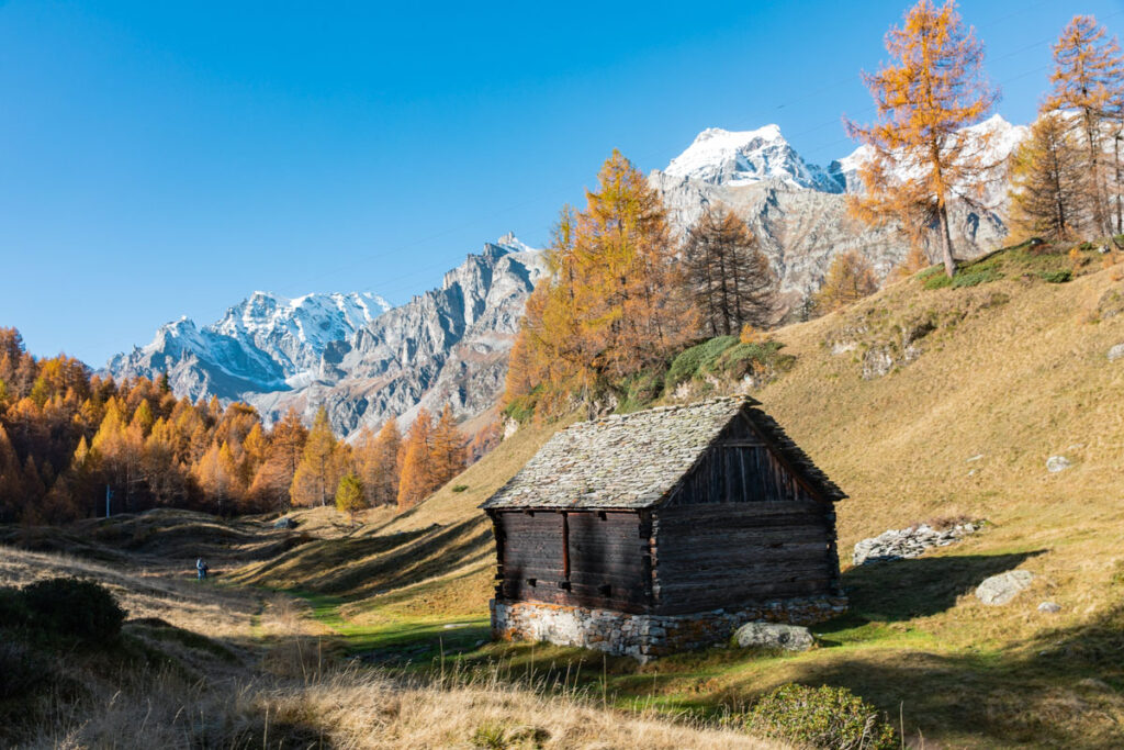 Monte Cazzola dall’Alpe Devero